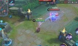 伽罗皮肤爆料2025最新,神秘传说，华丽绽放